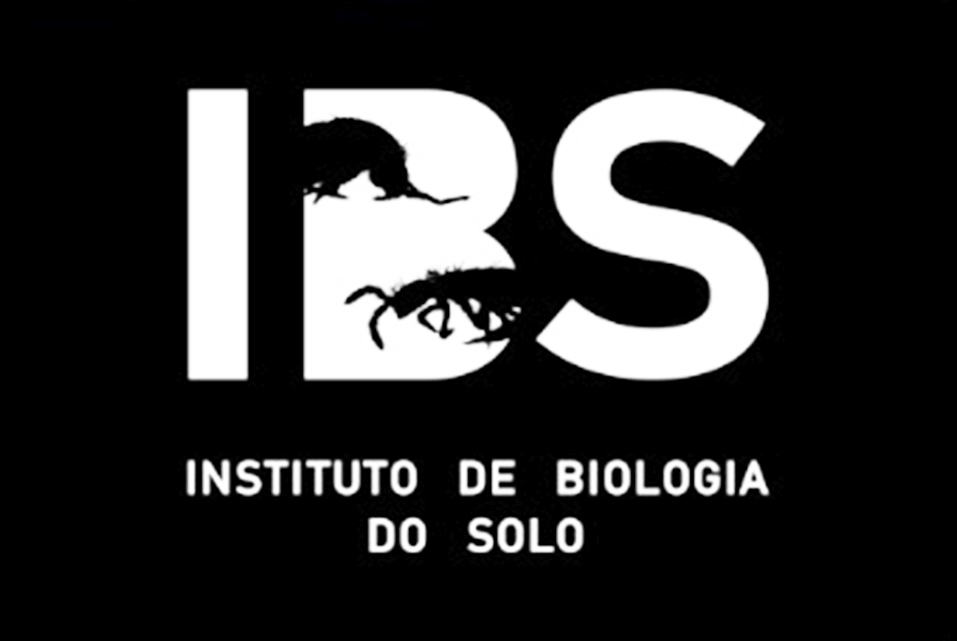 IBS LOGO OFICIAL.jpg